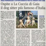 La Provincia di Biella_marzo 2014