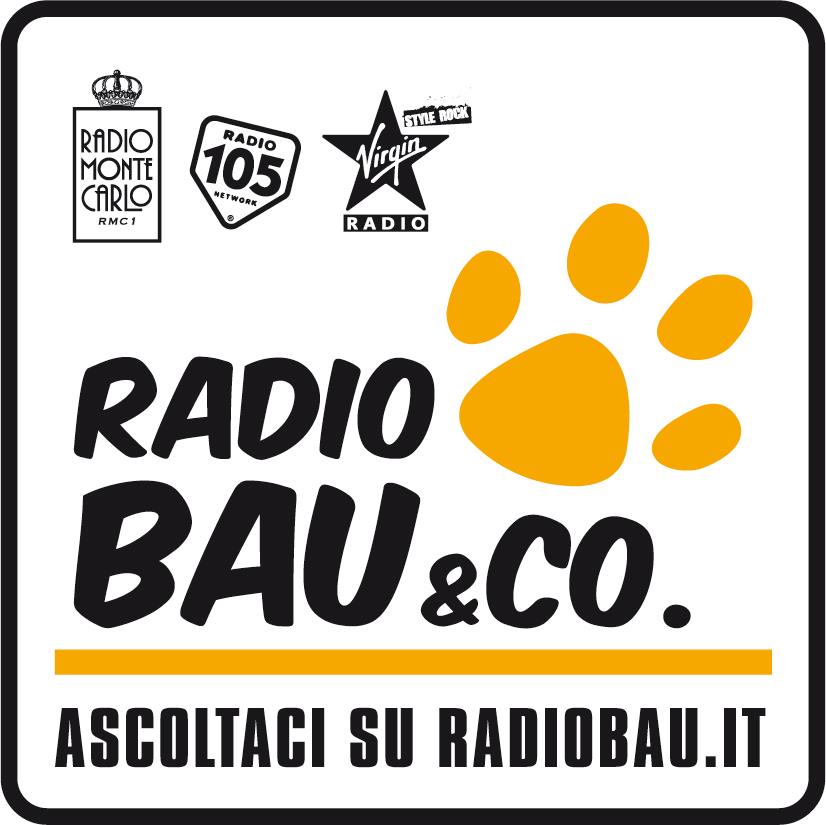 radio-bau